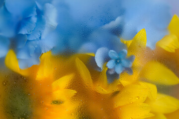 patriotic  abstract background, yellow sunflower flower and blue flower in soft art blur filter