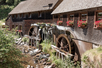 Obraz premium Old water mill in the Black Forest. Germany