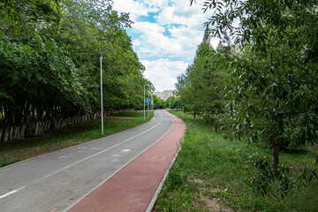 people walking in the park