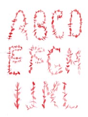 Watercolor floral and flowers alphabet handpaint