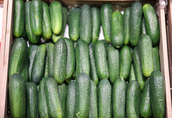 buying cucumbers  at the market