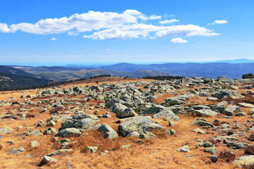 Rochers de granit  parsemant la lande du Finiels au Mont Lozère.