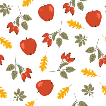 Seamless pattern with hand drawn rose hips, apple and leafs  on white background. Rose hips illustration isolated on white background. Botanical illustration.