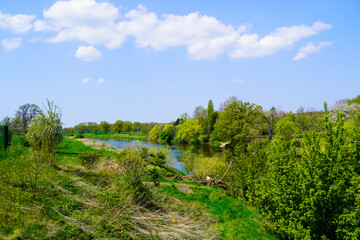 Mulde near Bad Duben. Landscape with the river and green nature.
