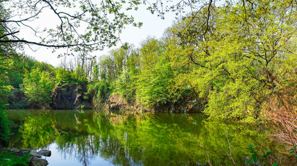 Fototapeta na wymiar Ammelshain Quarry Nature Reserve. Idyllic small pond with rocks and green vegetation. 