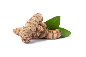 Fresh turmeric on the white background