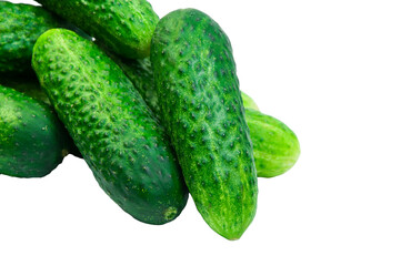 green cucumbers on a white background. ripe gherkins on a table. fresh vegetables on a light texture. the concept of growing cucumbers