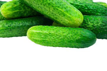 green cucumbers on a white background. ripe gherkins on a table. fresh vegetables on a light texture. the concept of growing cucumbers