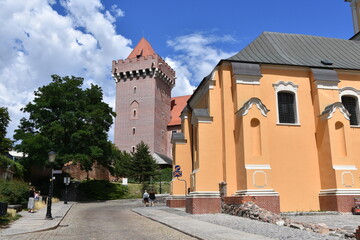 Zamek Królewski na Wzgórzu Przemysła w Poznaniu 