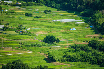 斜面に広がる田園風景　