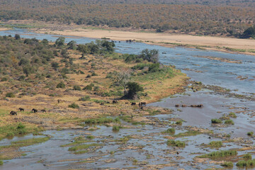 Olifants River / Olifants River / .Afrikanischer Elefant / African elephant / Loxodonta africana