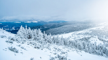 Mountain landscape with frozen pine wood under deep snow