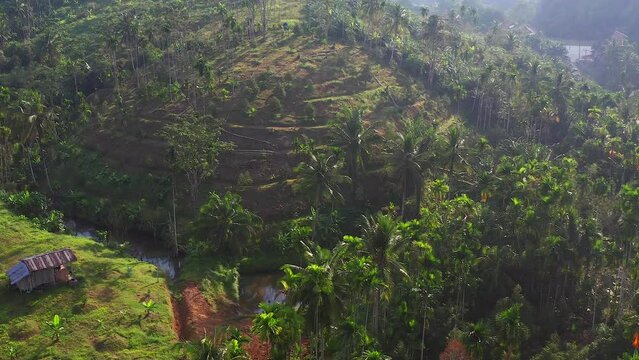 Rice terraces near Doi Tapang viewpoint in Chumphon, Thailand