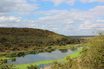 Obraz na płótnie Canvas Orpen Dam - Krüger Park Südafrika / Orpen Dam - Kruger Park South Africa /