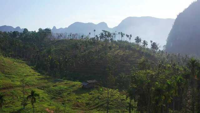 Rice terraces near Doi Tapang viewpoint in Chumphon, Thailand