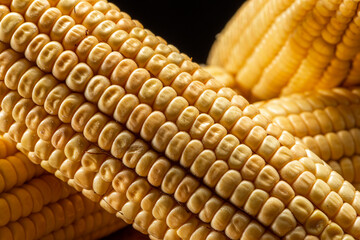Corn on the cob on rustic wooden background.