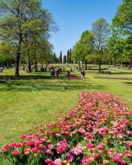 Colorful tulips blooming at Parco Sigurtà, Valleggio sul Mincio, Veneto, Italy