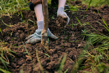 a woman is preparing for the summer season and planting a young tree on a plot of land