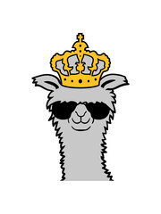 König Lama Sonnenbrille cool 