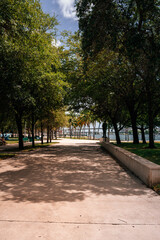 Obraz premium path in the park palms downtown miami usa florida 