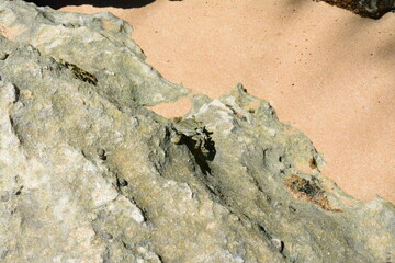 summertime in Sri Lanka