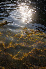 Transparent pure golden water in river