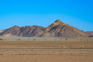 Namibia, view of the Namib desert, wild landscape, panorama in rain season
