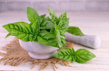 Fresh basil on a white wooden background.Close-up.
