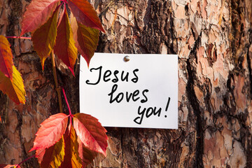 Jesus loves you - card with biblical lettering on the tree, christian motivation phrase