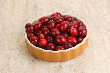 Ripe sweet tasty cranberry in the bowl