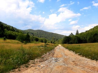 Landscape with gravel road, forest and clouds on mountain Bjelasnica, Bosnia and Herzegovina