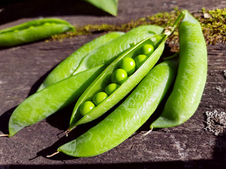 Green peas on a wooden background, agriculture, harvest of organic food from the garden.