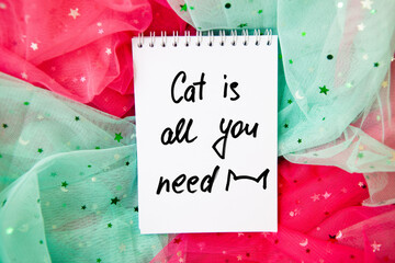 Cat is all you need - colorful cute card with decorations and love animal concept