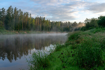 Fototapeta na wymiar Morning by the river in the fog.