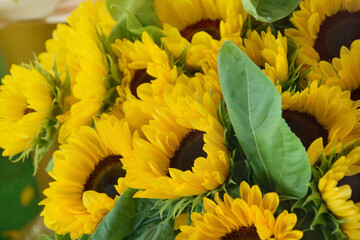 Bunch of sunflowers