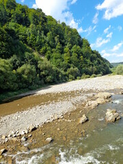 ~ river in the forest ~