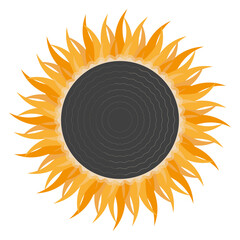 Tribal flaming sun icon Colorful vector illustration Isolated on white background