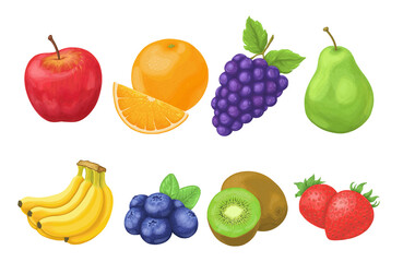 Fototapeta na wymiar フルーツのイラスト. 果物の挿絵セット. 白背景にベクターデータ. 
