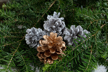 Close up of a gold color pine cone with silver pinecones ornaments in background on real fir branches for the Christmas or New Year holiday