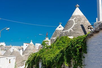 Alberobello, the town of 