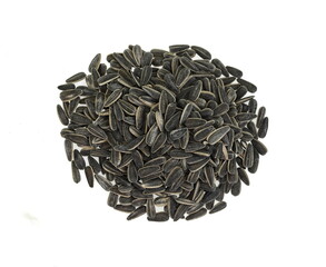 Sunflower seed isolated on white background