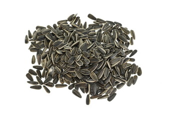 Sunflower seed isolated on white background
