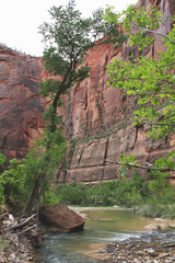 Shallow river flows slowly through the rocky red canyon during cloudy summer weather in deep Utah wilderness