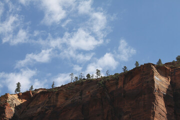 Trees dot the landscape of the rocky multicolor Utah canyon cliffs with wispy clouds in the distance