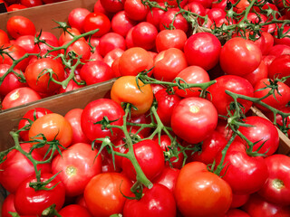 Fresh food. Red juicy fresh organic tomatoes on the supermarket shelf.