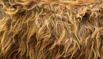 Thick brown fur skins. Fur of a bull. Fur of a wild animal.