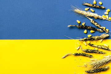 Burned ears of wheat on Ukrainian flag background. Global and European grain and wheat crisis after Russia's invasion of Ukraine 2022