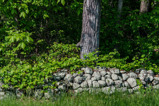 Stone Wall On The Gettysburg Battlefield