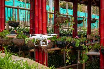 Fototapeta na wymiar Drone Filming a Vegetable Garden with Many Plants and Herbs