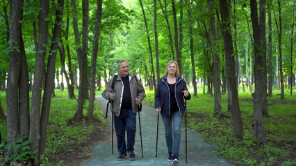 An elderly couple is engaged in Nordic walking in the forest. A man and a woman walk with sticks to...